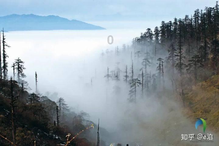 幽灵王营救